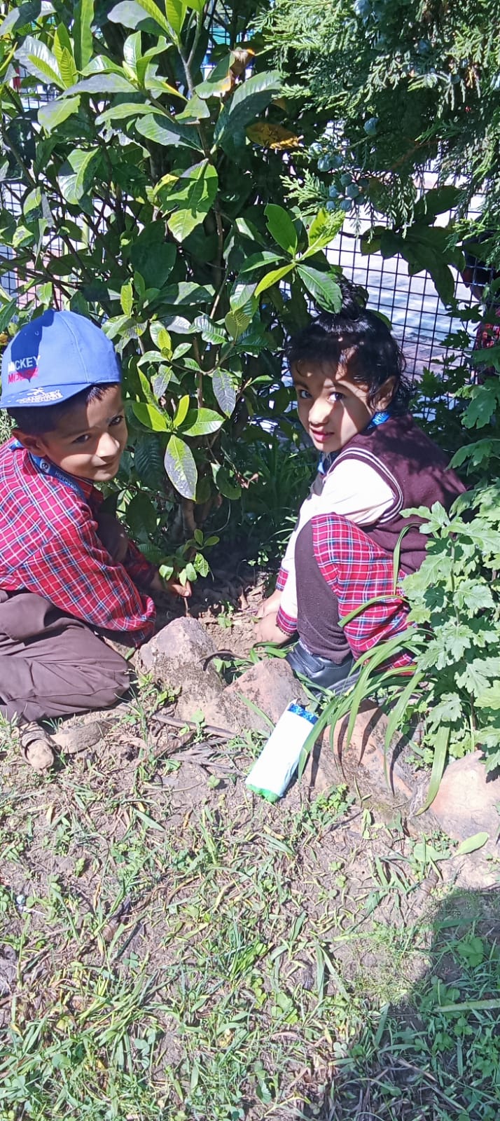 world environment day 2025